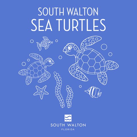 Youth Short-sleeve Sea Turtle Tees
