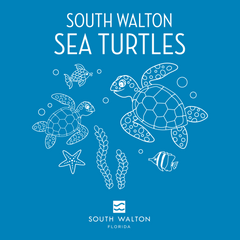 Youth Short-sleeve Sea Turtle Tees