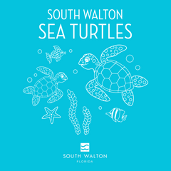 Youth Short-sleeve Sea Turtle Tees