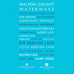 Comfort Colors Walton County Waterways Short-sleeve Tee